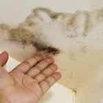 Mold Assessment - Mold in Ceiling