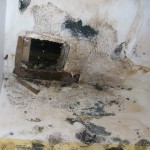 Mold Assessment - Mold in Closet