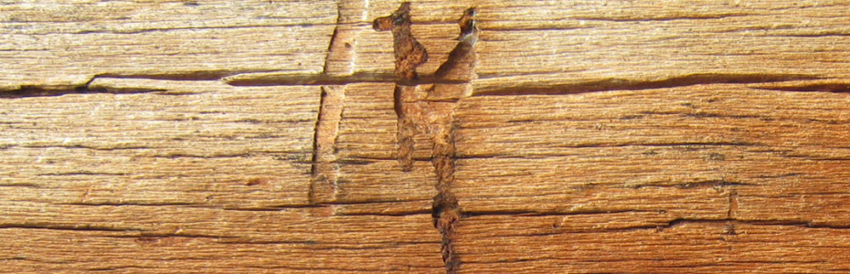 Termite and other Wood Destroying Organisms